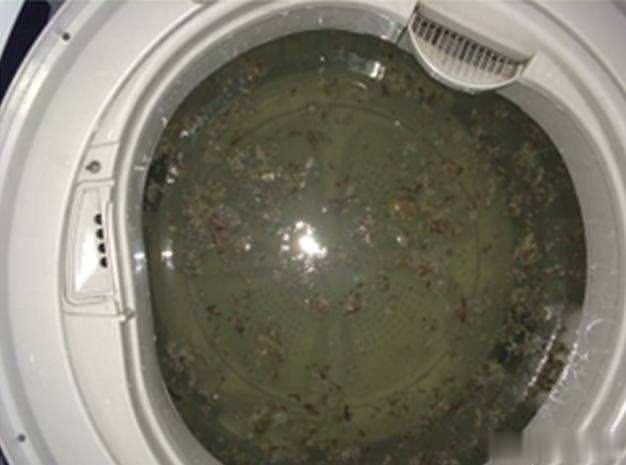 洗衣机长时间不清洗比马桶还脏？教你一招如何清洗